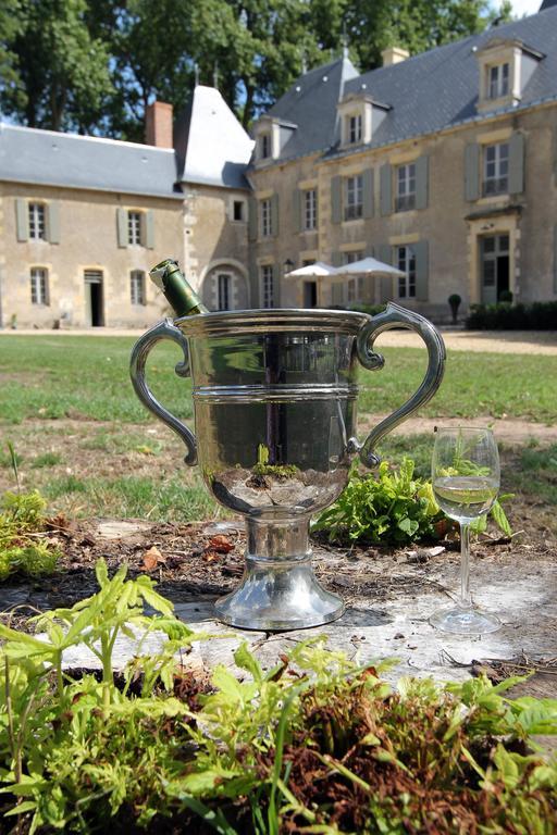 Chateau De Planchevienne Magny-Cours Bagian luar foto